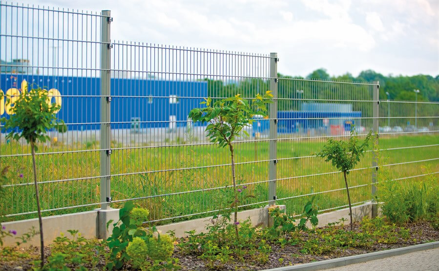 Immagine Vega 2d Corretta